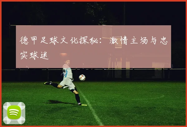 德甲足球文化探秘:激情主场与忠实球迷